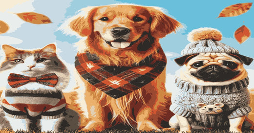 Pet Fashion Must-Haves for Stylish Paws
