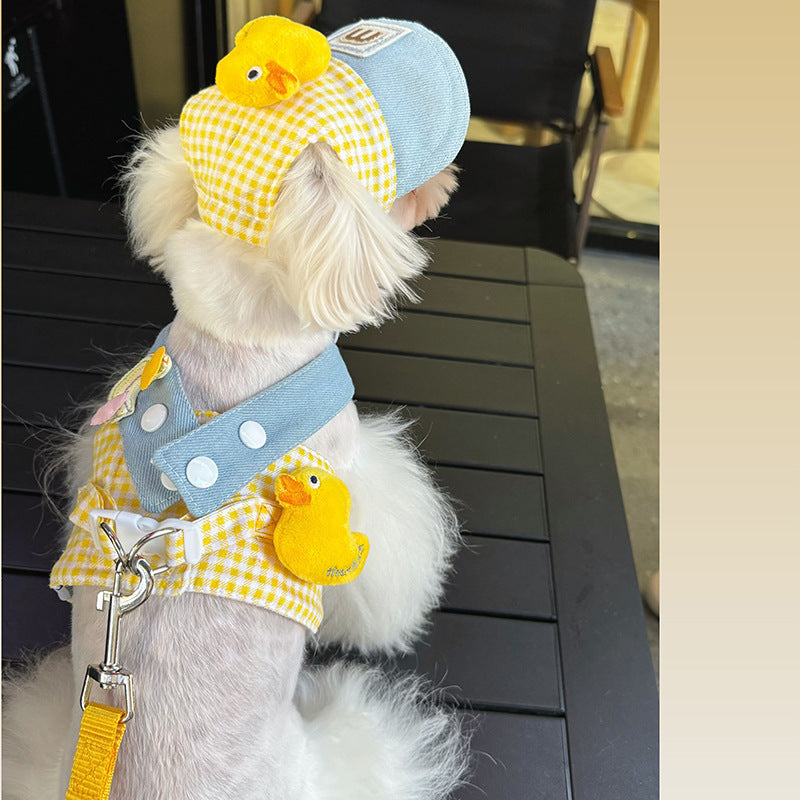 3-in-1 Pet Harness Set with Hat – Leash, Rope & Outfit