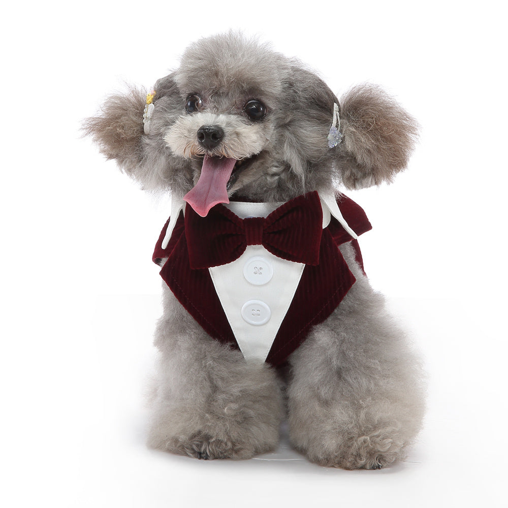Pet Tuxedo Dog Dress