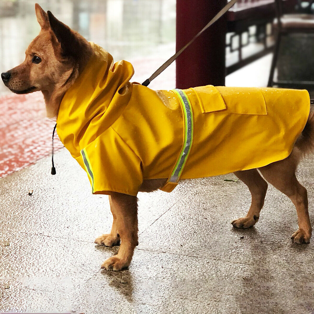 Waterproof Dog Raincoat Reflective Hooded Jacket for Pets