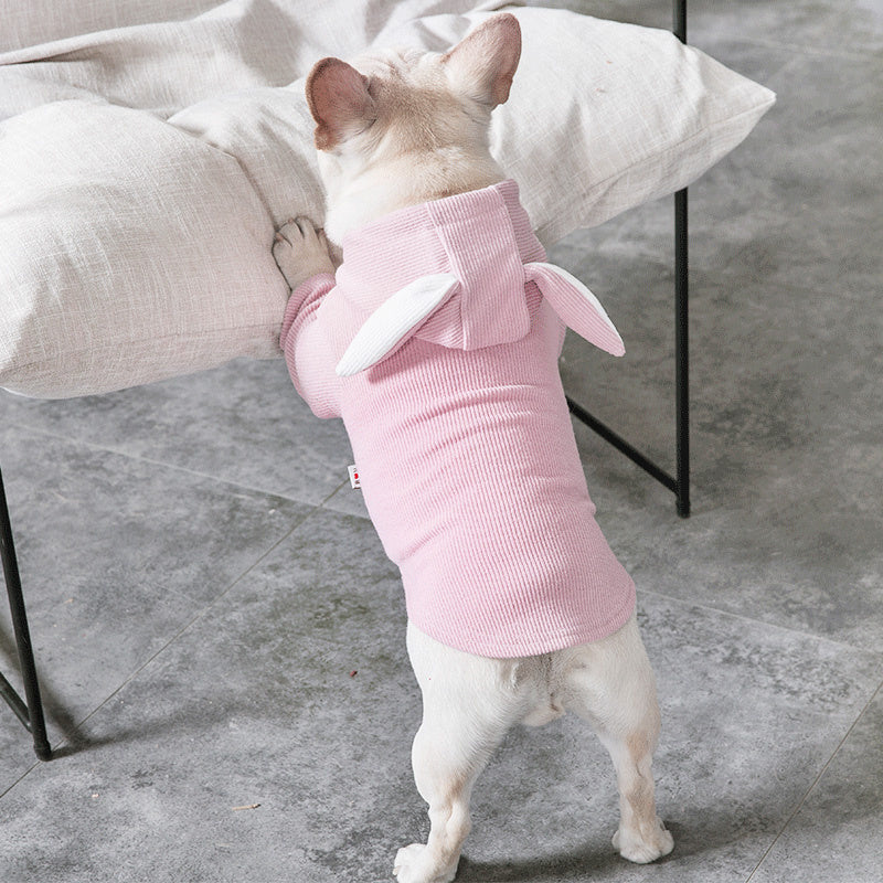 Lightweight Dog Sweater for Spring and Fall