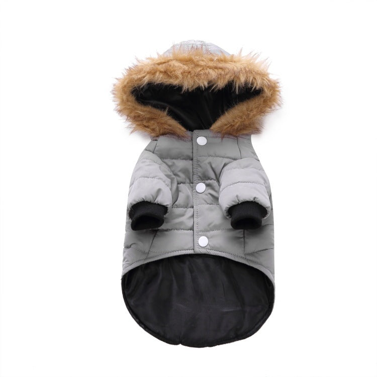 Winter Pet Clothing