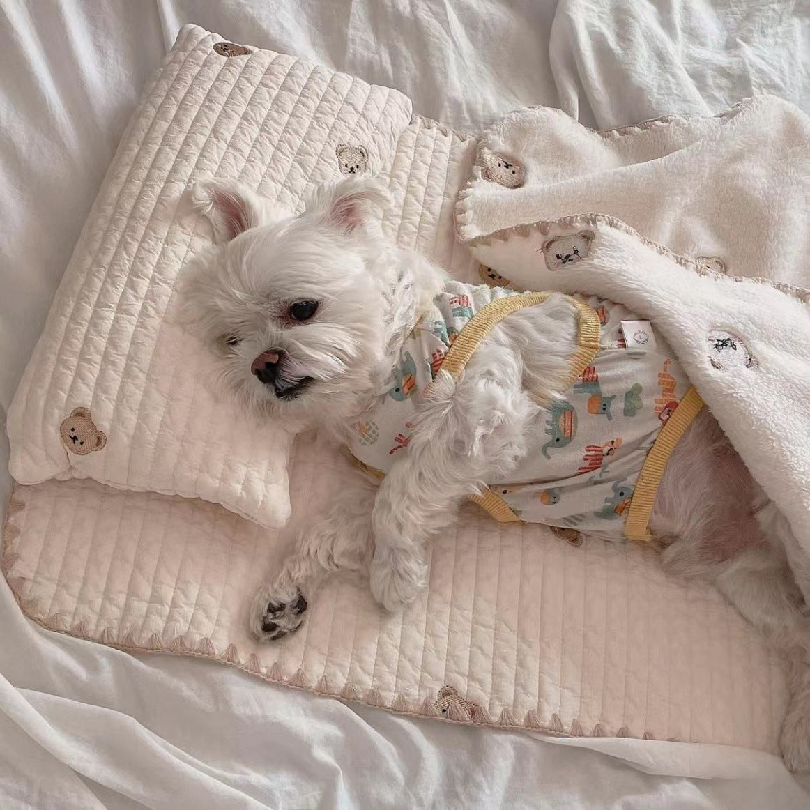 Fashionable Square Dog Bed with Removable Comforter