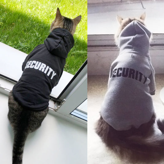 Two cats wearing black hoodies with the word 'SECURITY' written across the back in white letters. One cat is facing away, looking out a window, and the other is sitting facing forward.