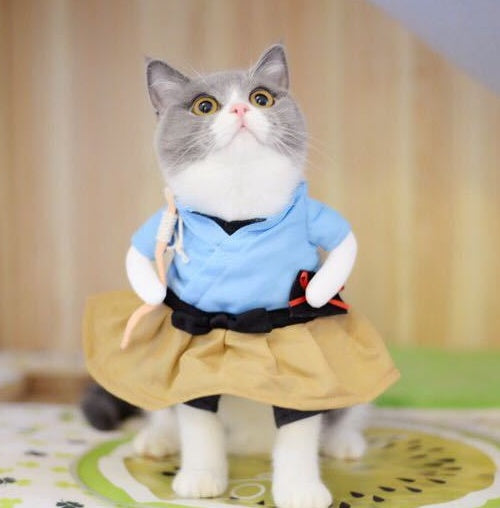 Cosplay Party Outfit for Pets