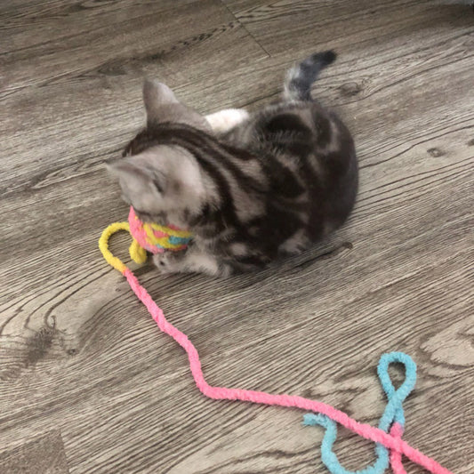 Yarn ball cat toy funny cat stick