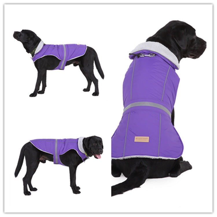 Reflective Winter Dog Jacket for Night Safety and Warmth