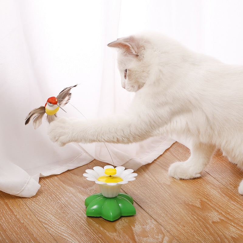 Smart auto-rotating funny cat