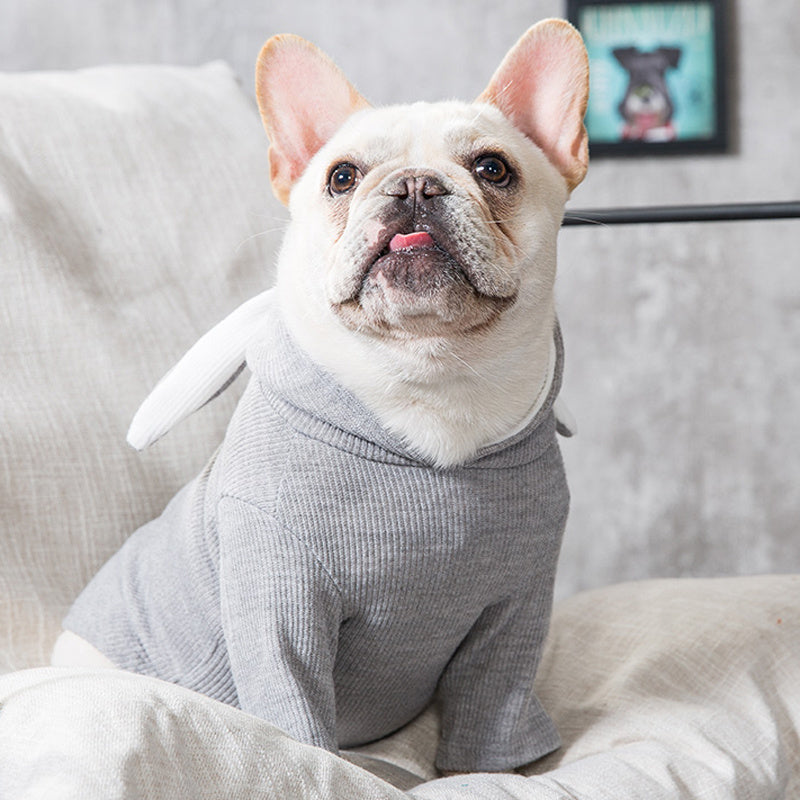 Lightweight Dog Sweater for Spring and Fall