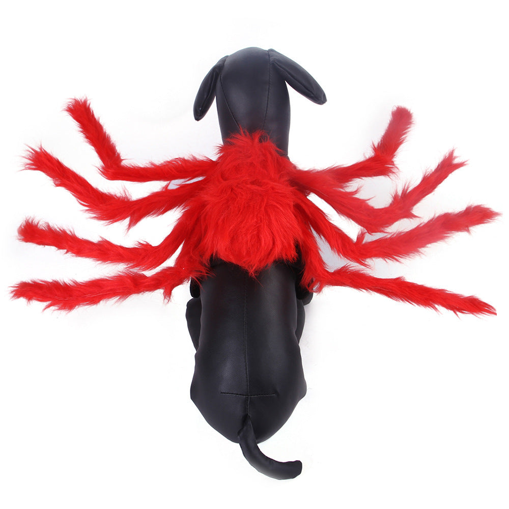 Halloween Spider Costume for Dogs and Cats