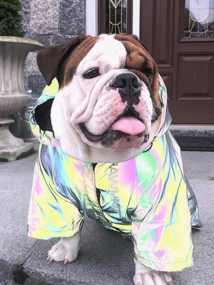 Reflective Waterproof Dog Jacket for Night Walks