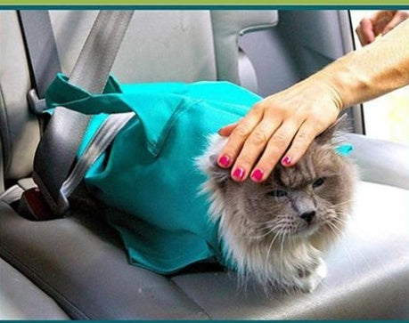 Dog Travel Shoulder Bag Sling Carrier For Puppy