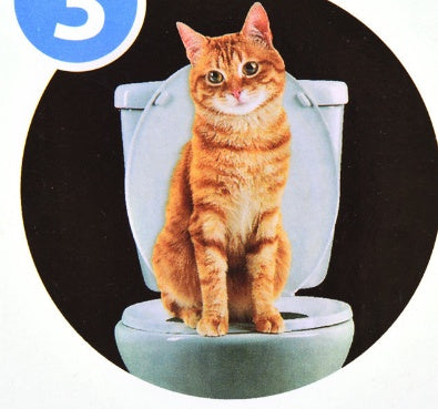 Pet Toilet Trainer with Toilet Seat Lighting for Cats