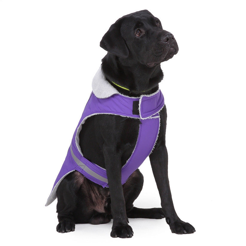 Reflective Winter Dog Jacket for Night Safety and Warmth