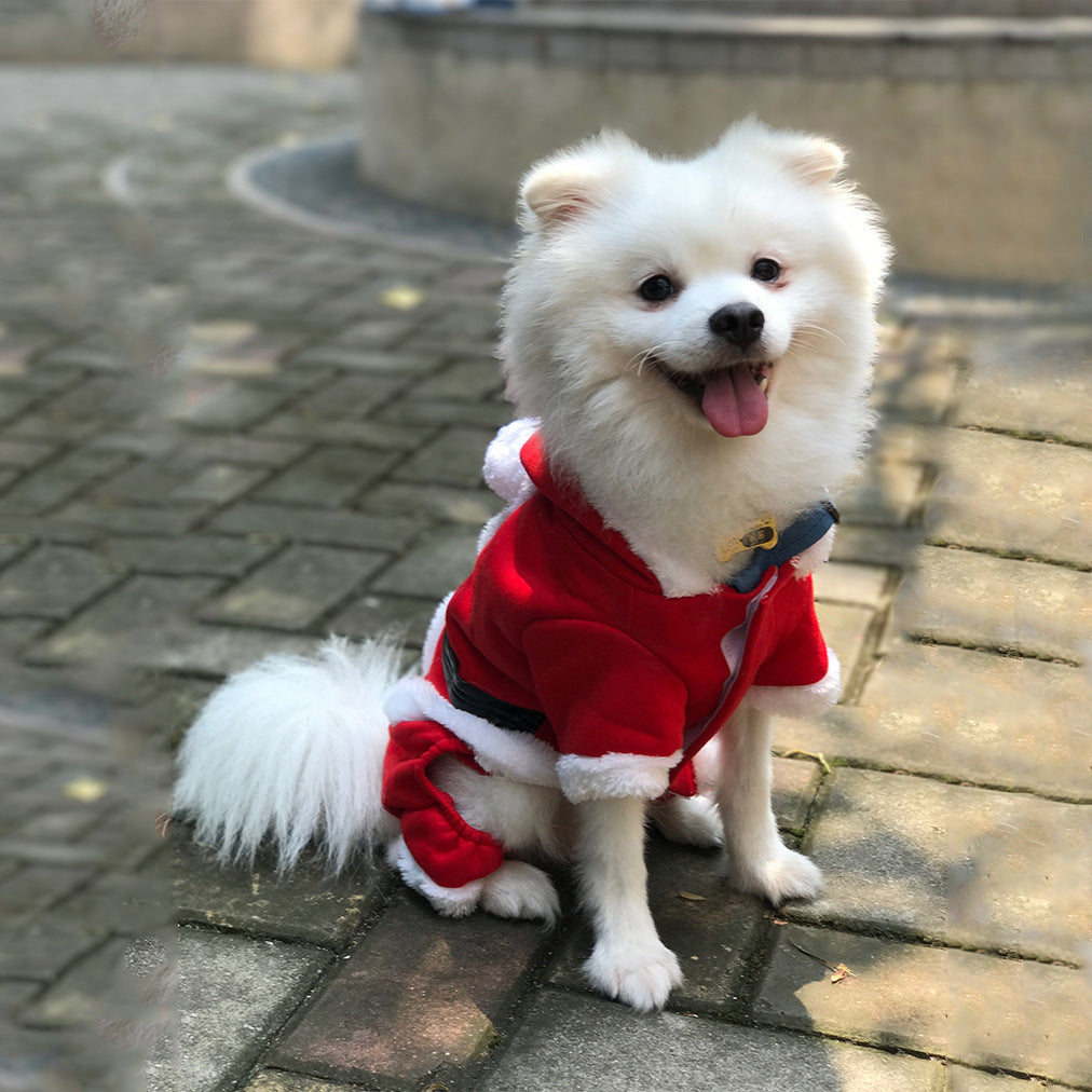 Christmas Wool Dog Sweater