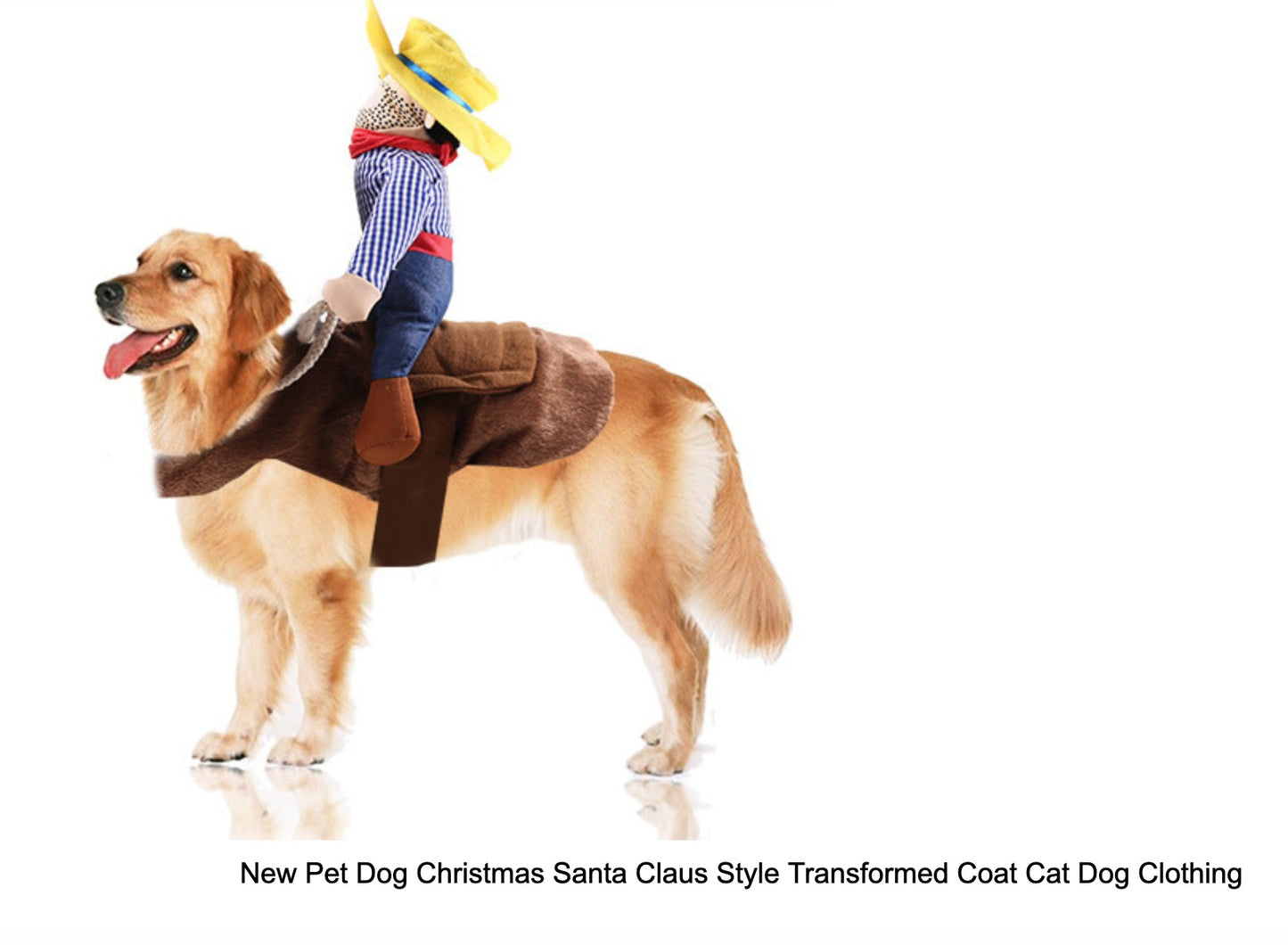 Comfortable Riding Clothes for Pets - Stylish Dog and Cat Apparel