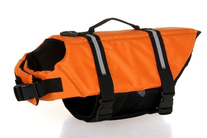 Dog Life Jacket for Safety Cute Dog Swimwear for Medium and Large Dogs