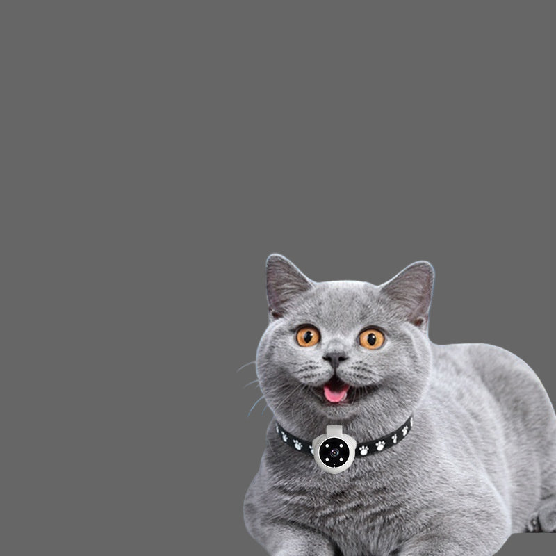 Pets Recorder & GPS Tracker Collar – Motion Recording Camera for Dogs and Cats