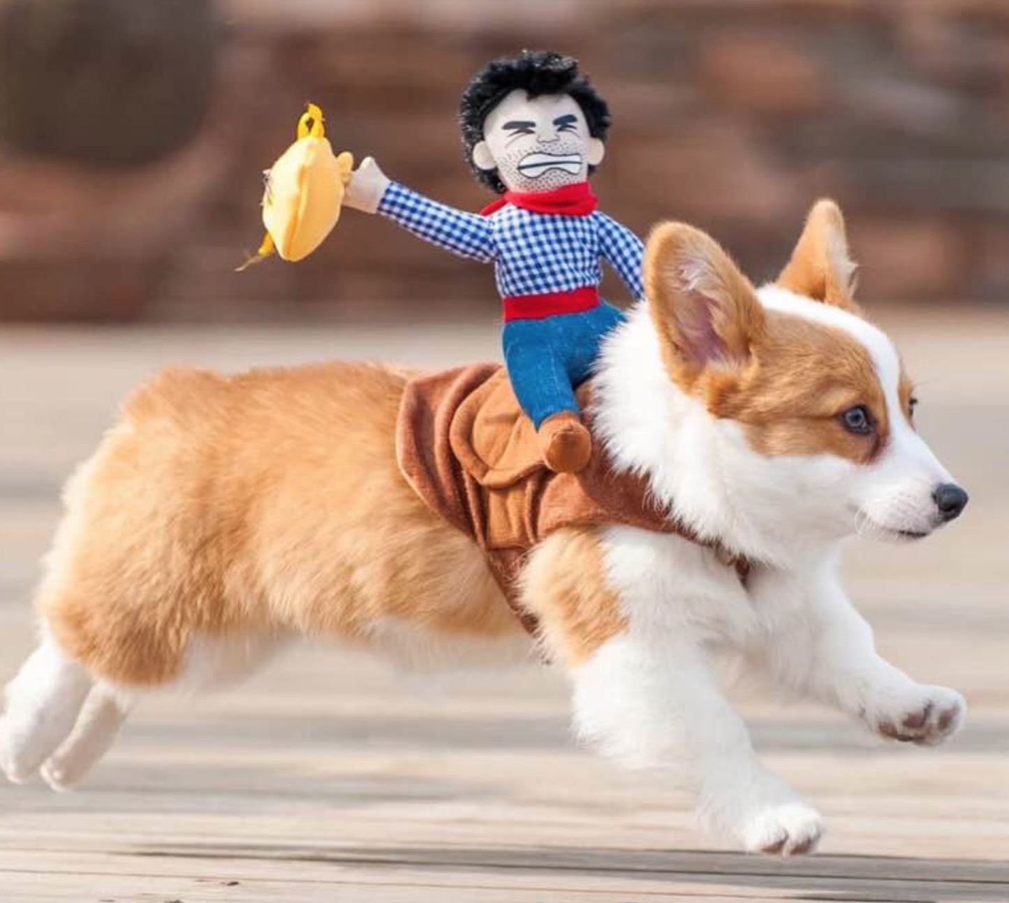 Comfortable Riding Clothes for Pets - Stylish Dog and Cat Apparel
