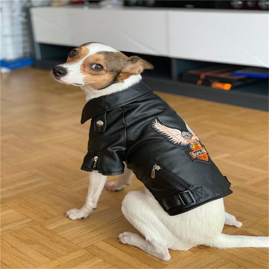 Puppy Leather Dog Coat – Stylish Chocolate Black Jacket for Your Furry Trio