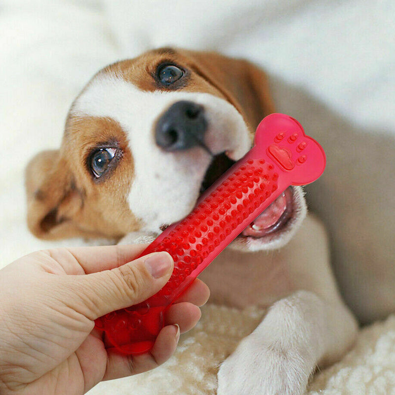 PVC Transparent Flat Bone Pet Dog Toy