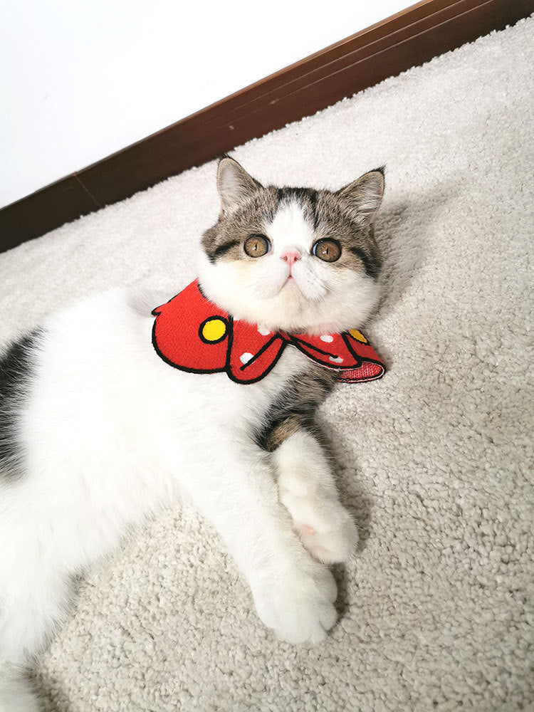 Cute Pet Collar Scarf for Small Dogs and Cats Attractive Puppy Accessories