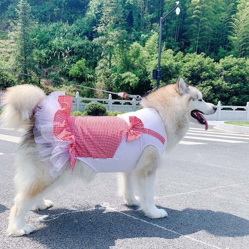 Princess Dog Costume for Large Breeds