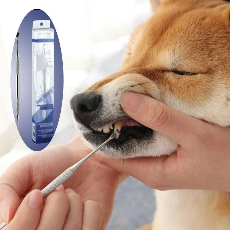 Stainless Steel Pet Dental Pen Removes Tartar Plaque
