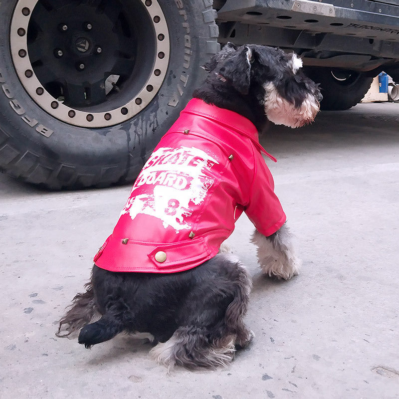 Cozy Winter Dog Outfit for Small and Large Breeds