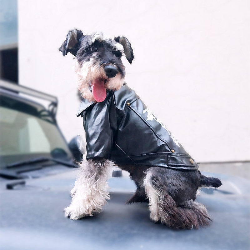 Cozy Winter Dog Outfit for Small and Large Breeds