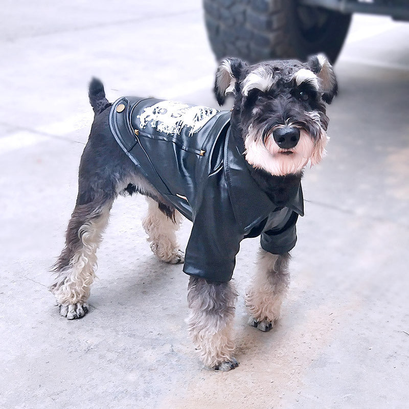 Cozy Winter Dog Outfit for Small and Large Breeds