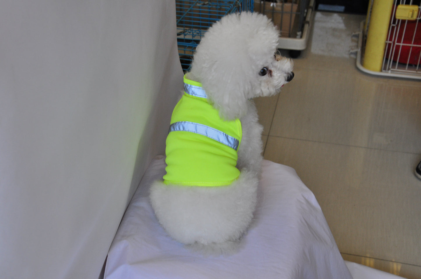 Reflective Safety Vest for Dogs