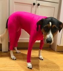 Zhongda All-Inclusive Dog Clothing