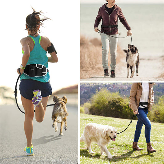 Hands-Free Dog Leash Waist Bag for Walking and Training