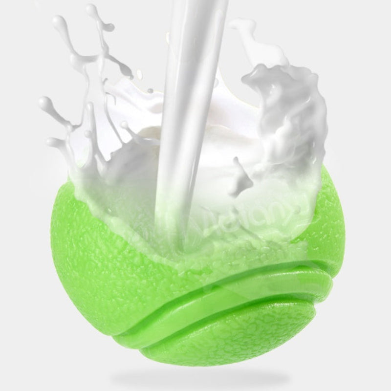 Pet Dog Bouncy Ball – Bite-Resistant Solid Rubber Ball