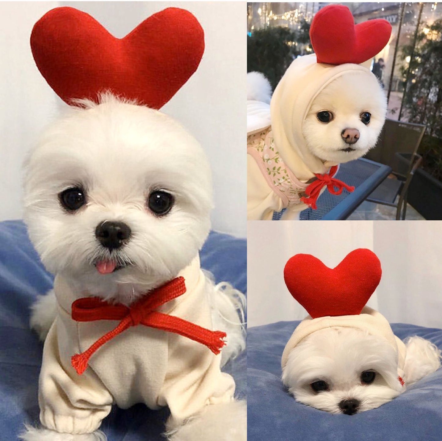 Cute and Warm Fruit Themed Dog Hoodie for Small Breeds