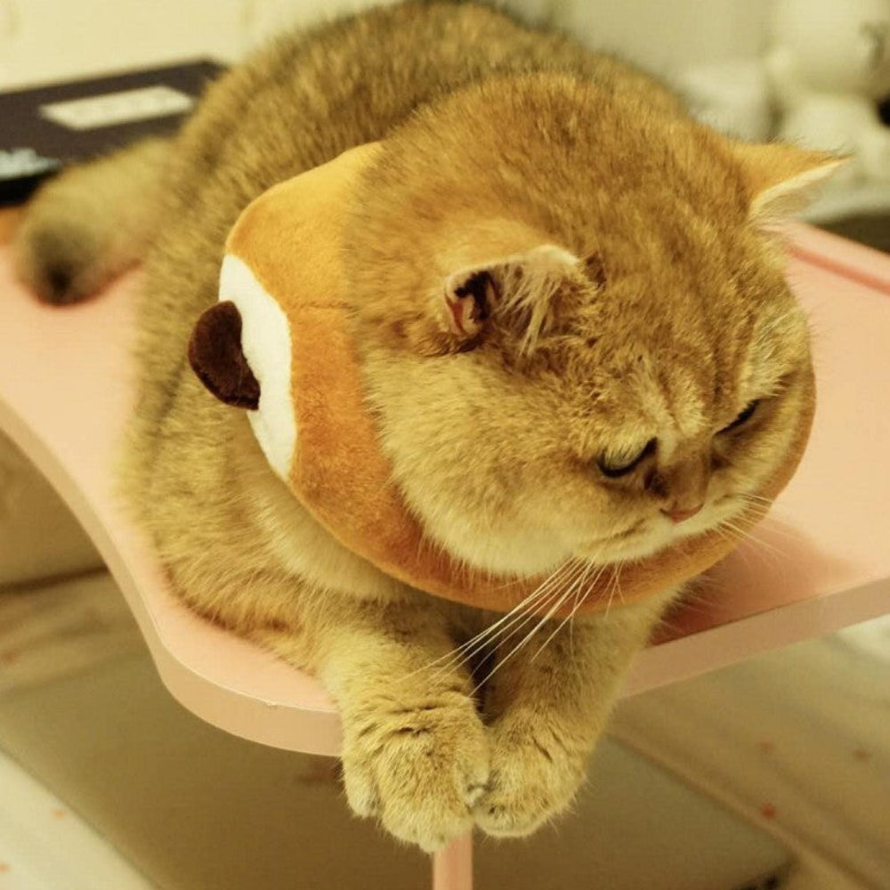 A cat wearing a costume that resembles a loaf of bread with slices missing, resembling a cartoon style headgear.