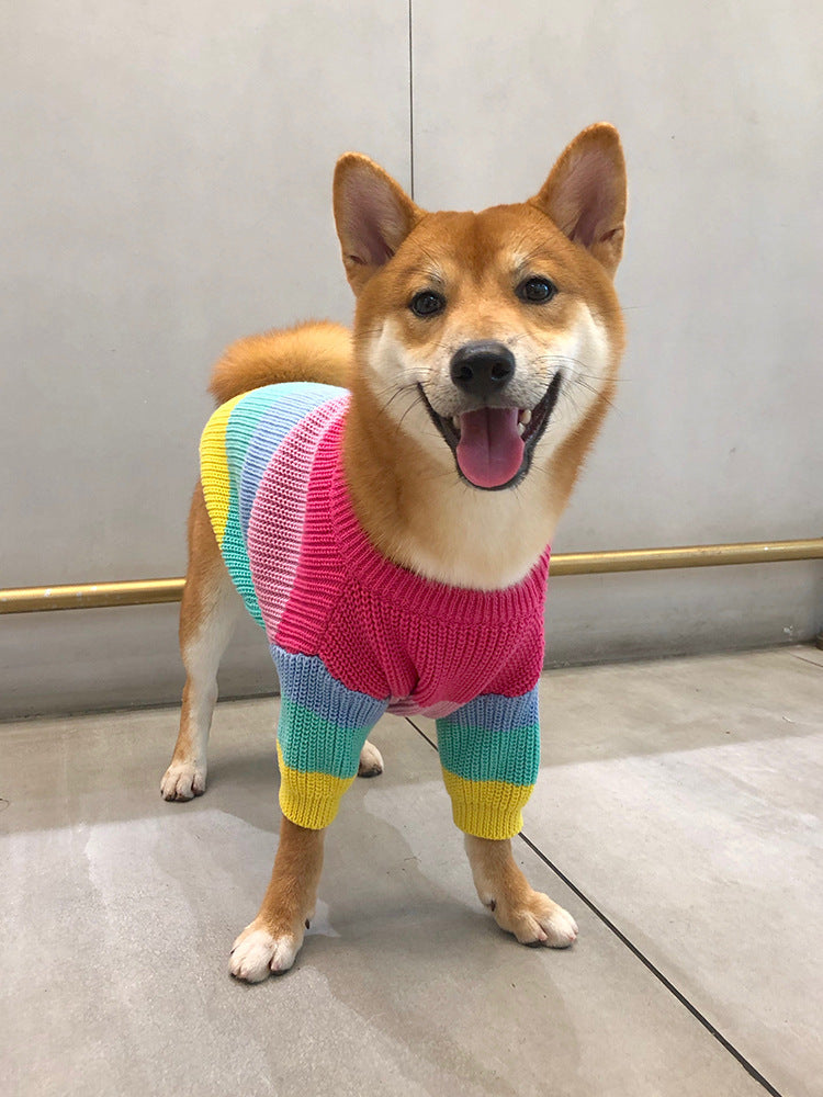 Rainbow Wool Dog Sweater – Colorful and Cozy Sweater for Your Furry Friend