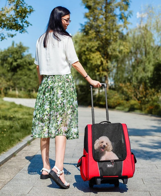 Small Pet Carrier Trolley Bag for Travel and Transport