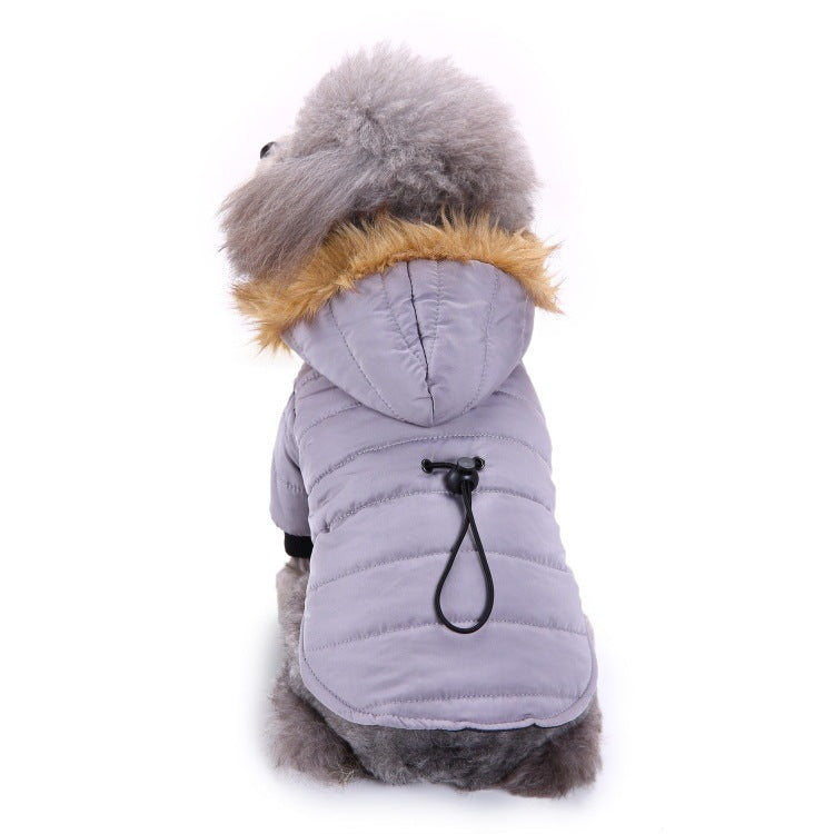 Winter Pet Clothing