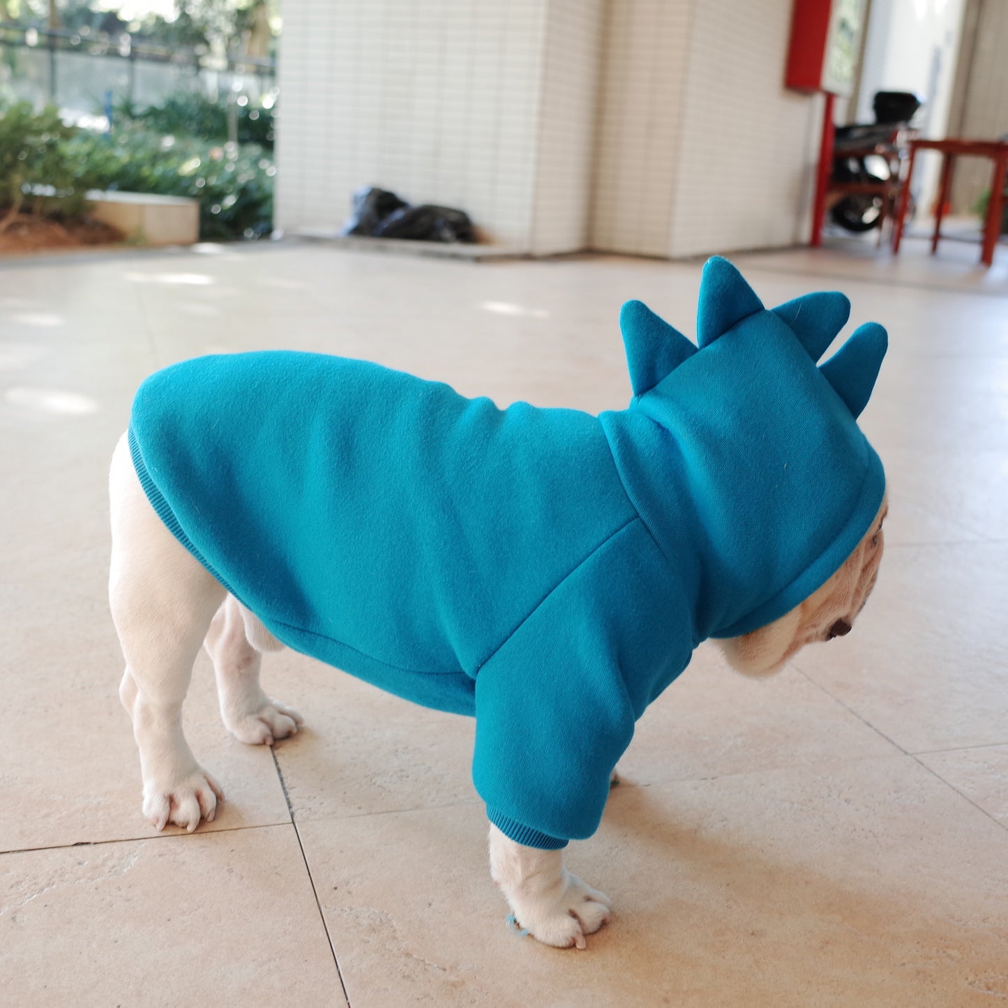 Soft Fleece Dog Hoodie Cozy Winter Pet Sweater for Small and Medium Dogs