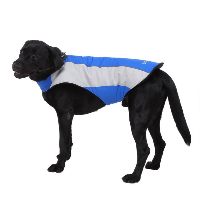 Pet reflective clothes
