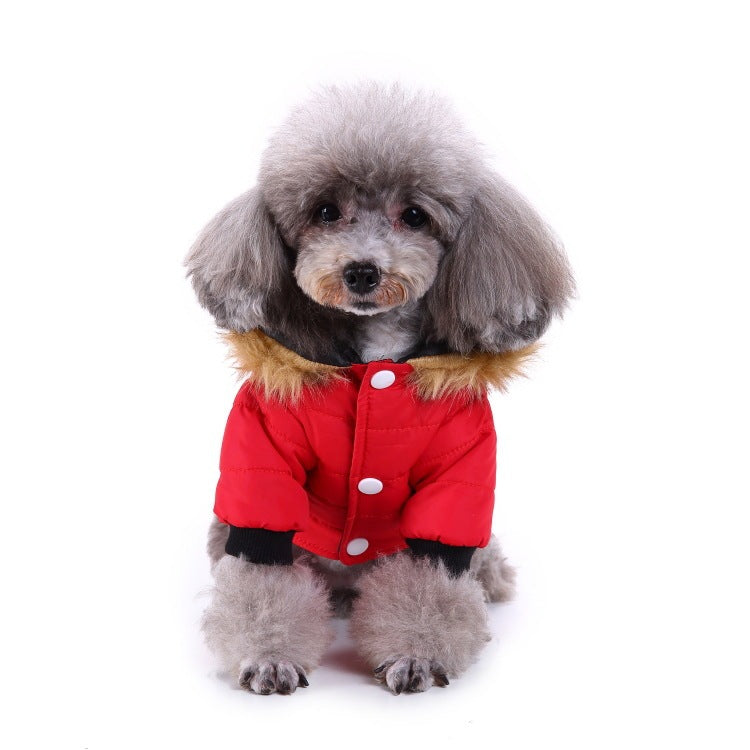 Winter Pet Clothing