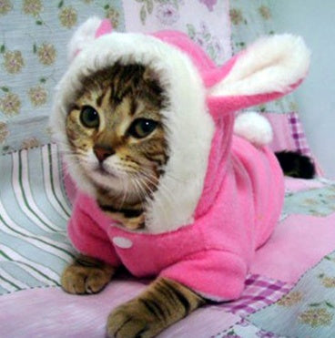 Cute Rabbit Hoodie for Cats and Small Dogs