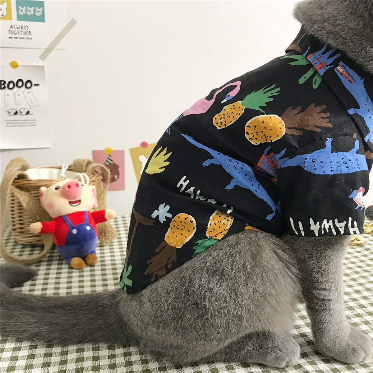 Stylish Summer Cat Clothes Set