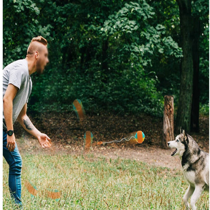 Pet Draw Rope Hand Throwing Ball ABS Grinding Teeth Resistant Chew Dog Training Ball