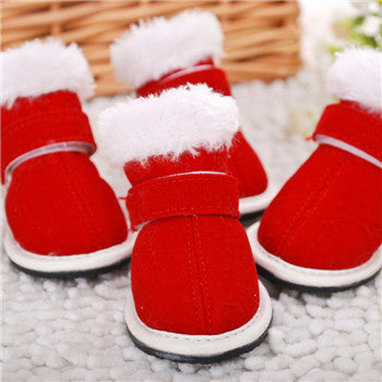 Pet Shoes