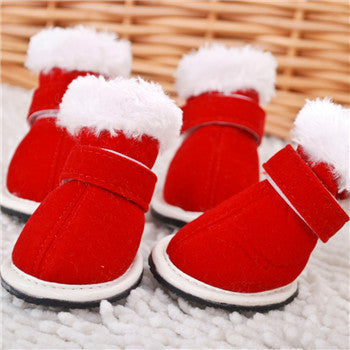 Pet Shoes