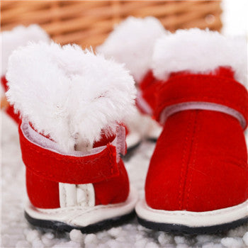 Pet Shoes