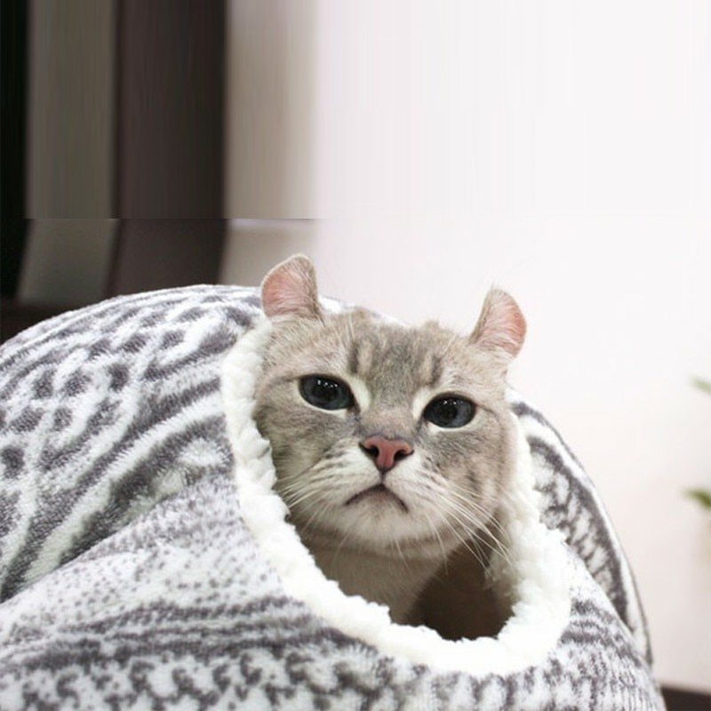 Spherical Cat House With Round Openin Your Cat Will Love It Cat Playhouse